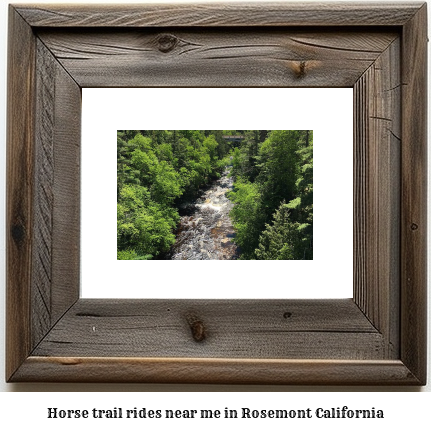 horse trail rides near me in Rosemont, California